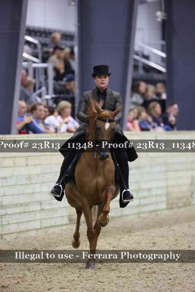 Proof Number 23R13_11348