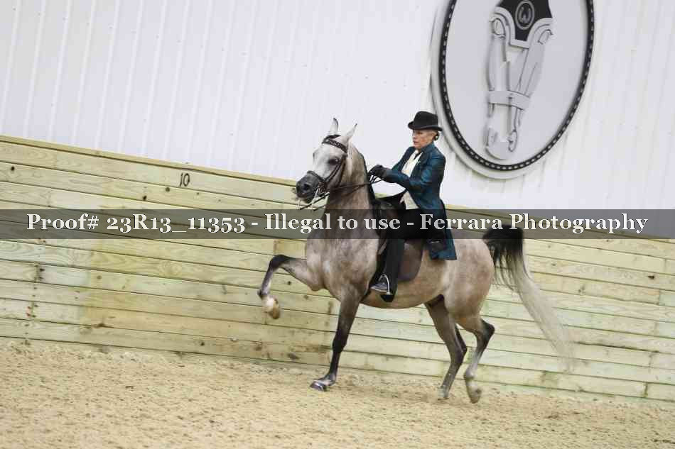 Proof Number 23R13_11353