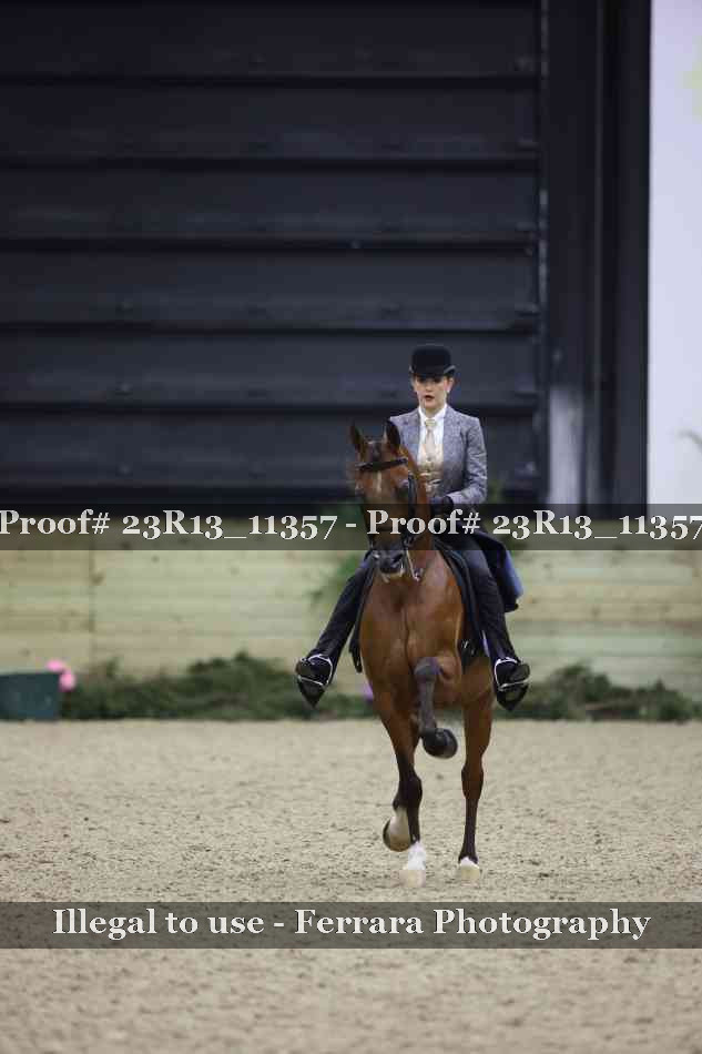 Proof Number 23R13_11357