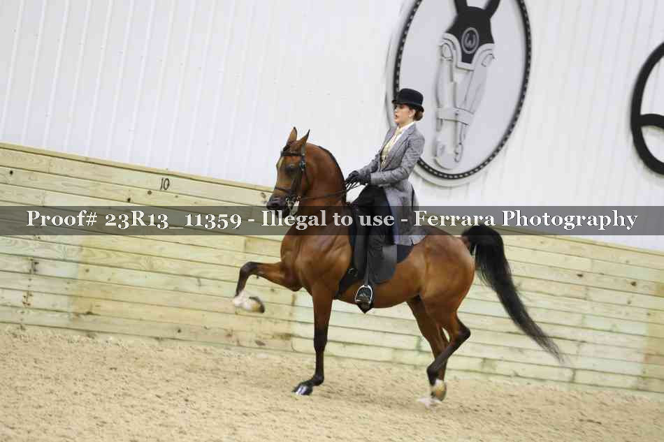 Proof Number 23R13_11359