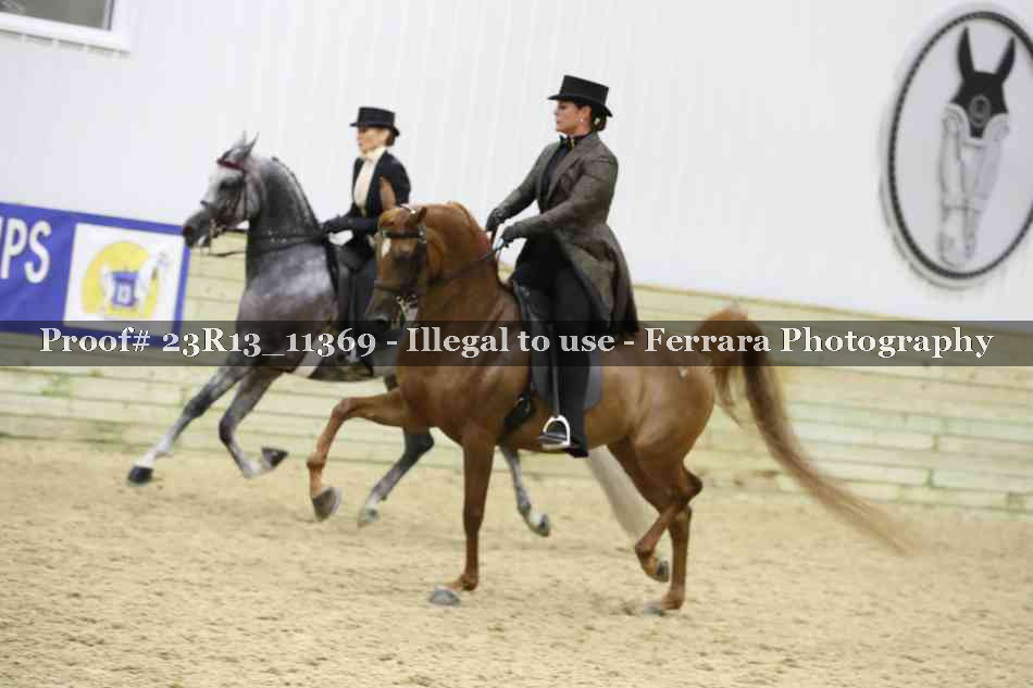 Proof Number 23R13_11369