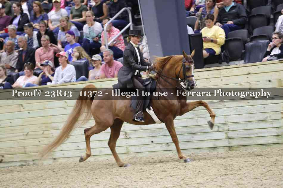 Proof Number 23R13_11372