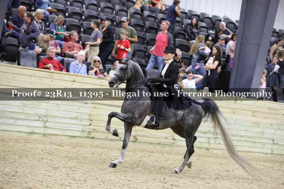 Proof Number 23R13_11395