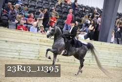 23R13_11395 thumbnail