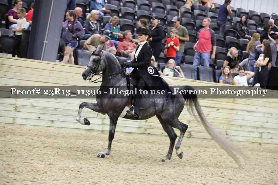 Proof Number 23R13_11396