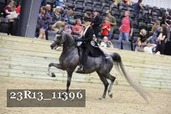 23R13_11396 thumbnail