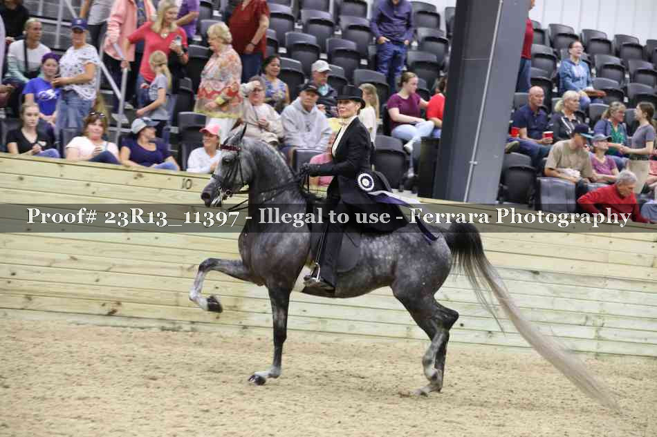 Proof Number 23R13_11397