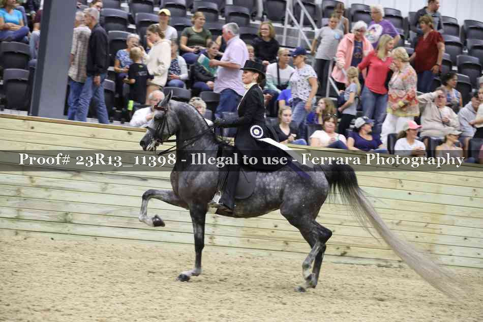 Proof Number 23R13_11398