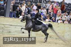 23R13_11398 thumbnail