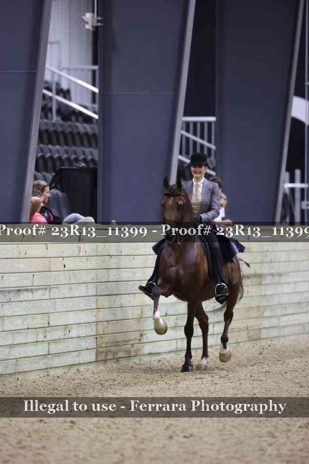 Proof Number 23R13_11399