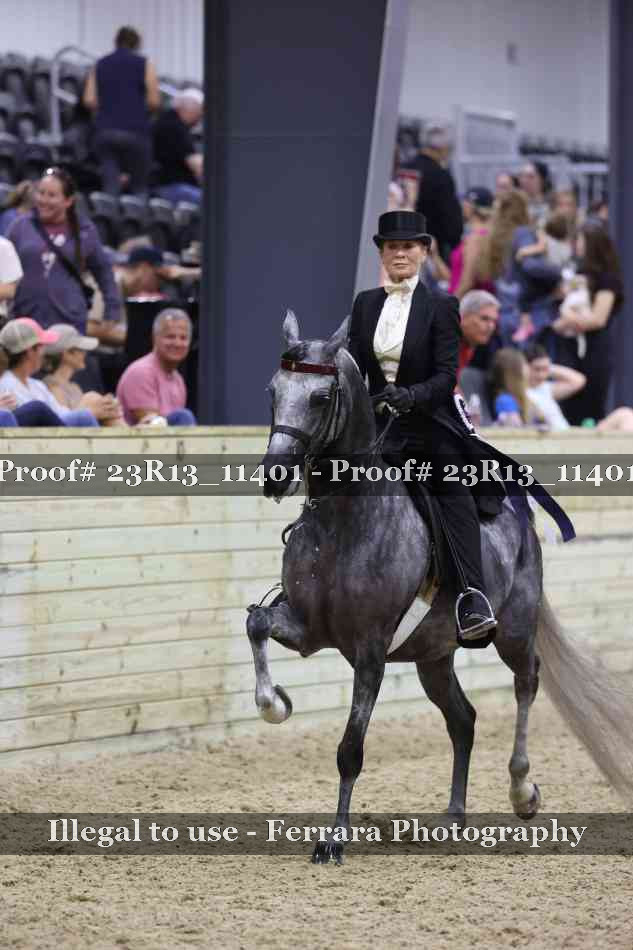 Proof Number 23R13_11401