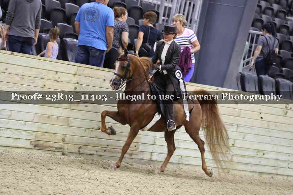 Proof Number 23R13_11403