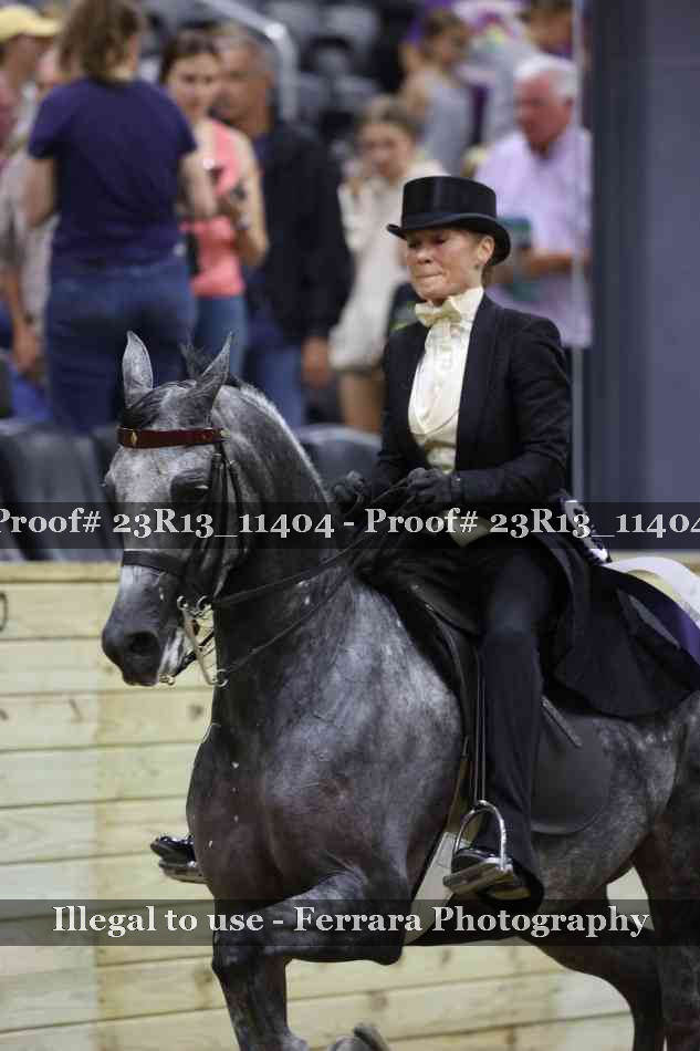 Proof Number 23R13_11404