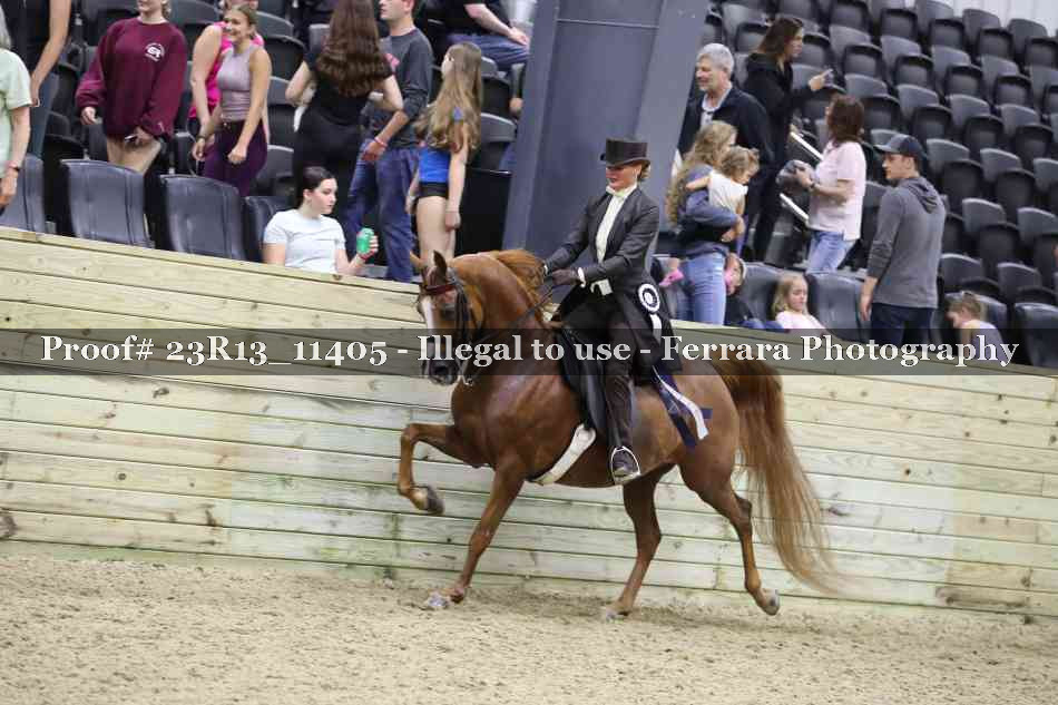 Proof Number 23R13_11405
