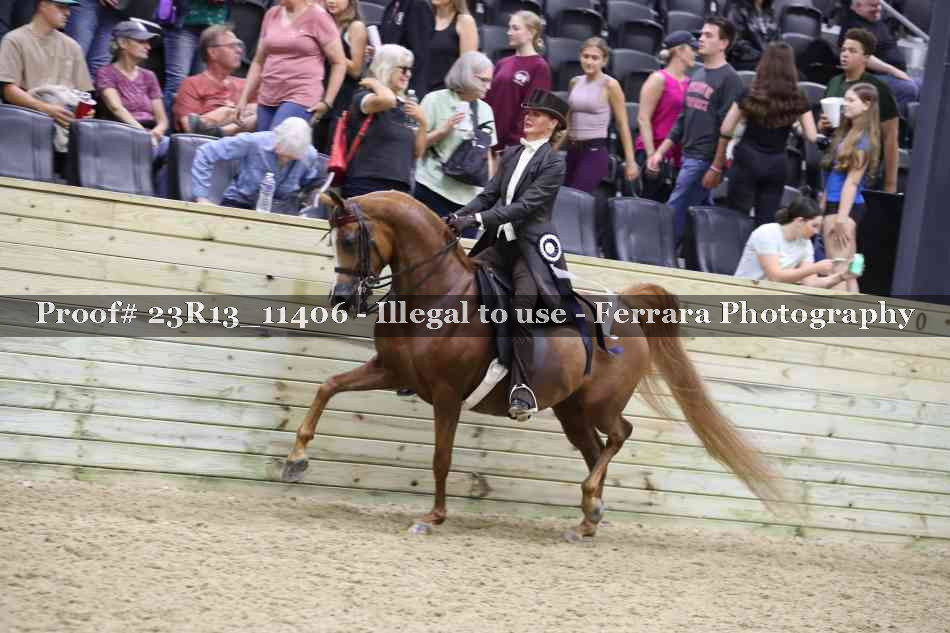 Proof Number 23R13_11406