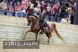 23R13_11406 thumbnail