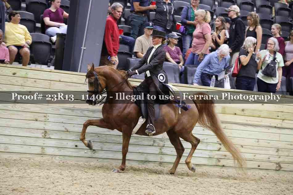 Proof Number 23R13_11407