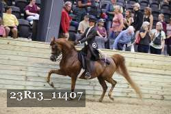 23R13_11407 thumbnail