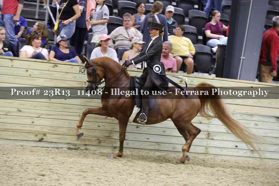 Proof Number 23R13_11408
