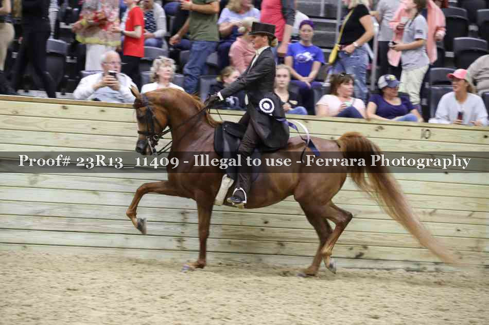 Proof Number 23R13_11409