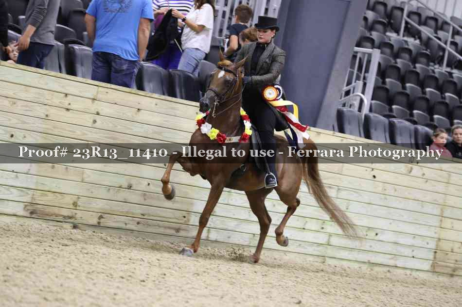 Proof Number 23R13_11410