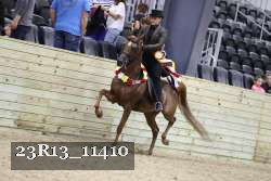 23R13_11410 thumbnail