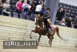 23R13_11412 thumbnail