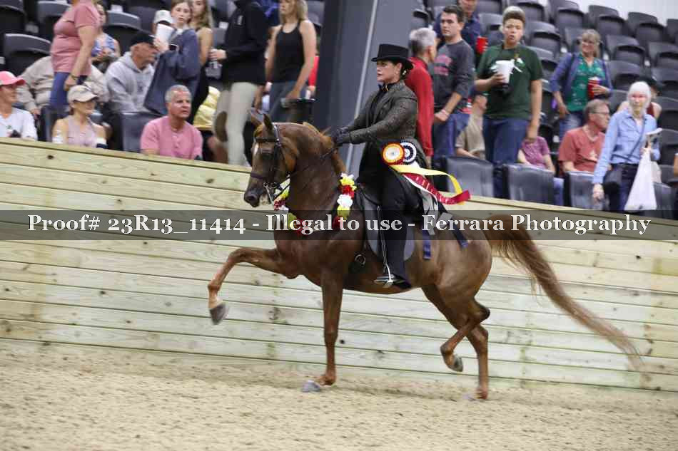 Proof Number 23R13_11414
