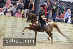 23R13_11414 thumbnail