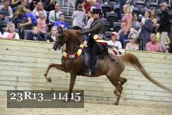 23R13_11415 thumbnail