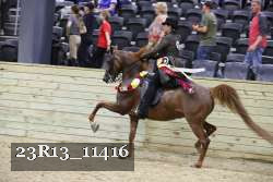 23R13_11416 thumbnail