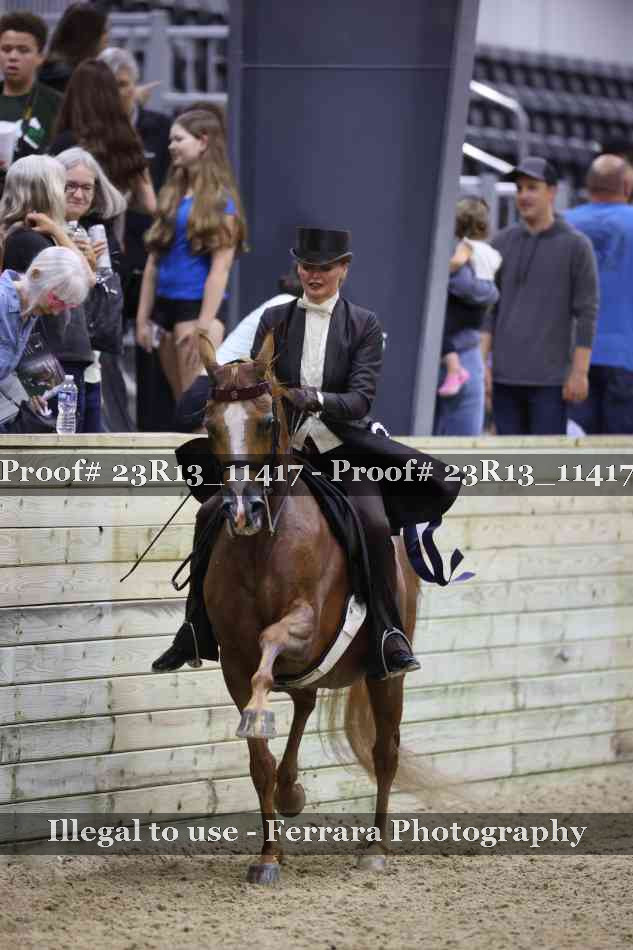 Proof Number 23R13_11417