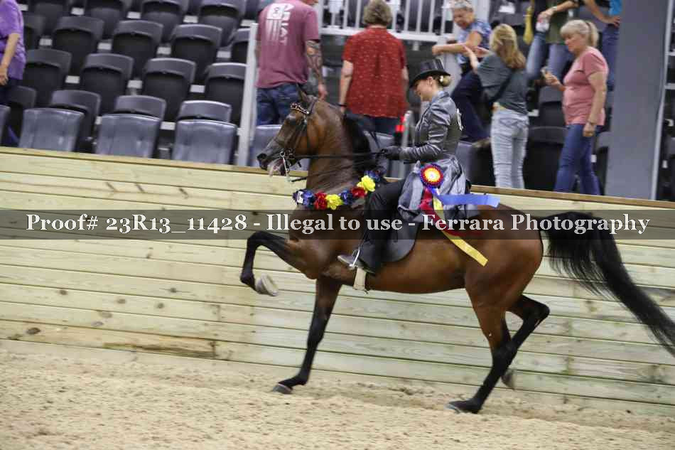 Proof Number 23R13_11428