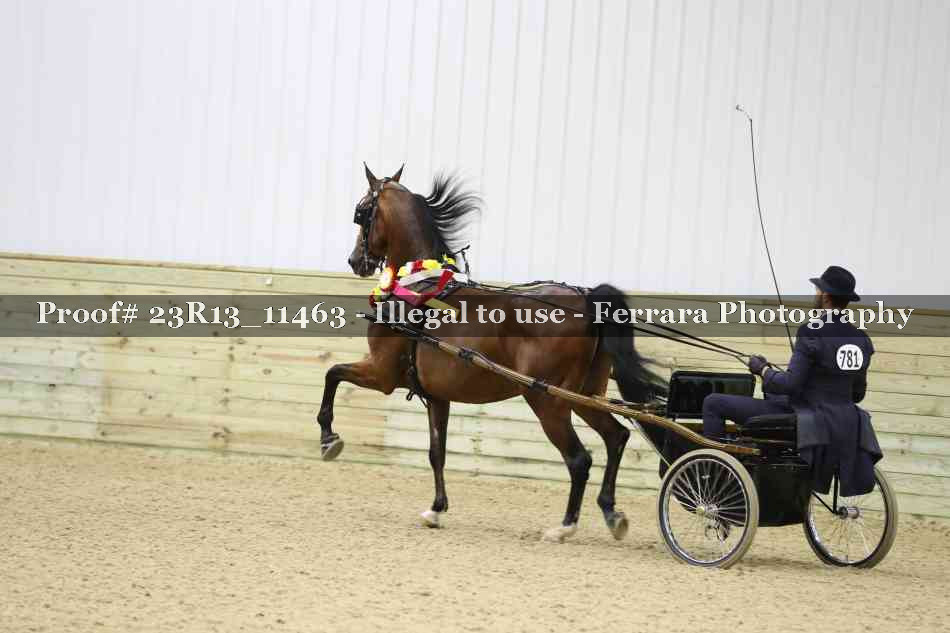 Proof Number 23R13_11463