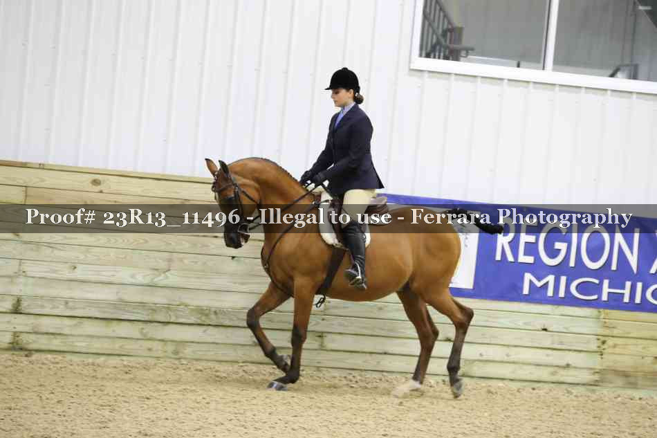 Proof Number 23R13_11496