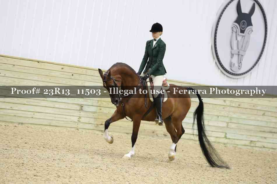 Proof Number 23R13_11503