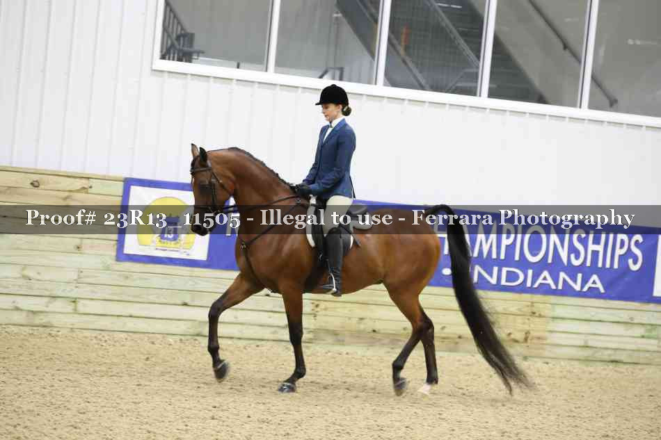 Proof Number 23R13_11505