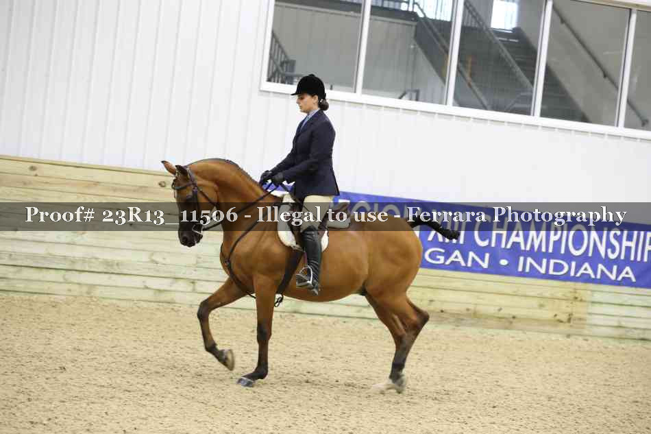 Proof Number 23R13_11506