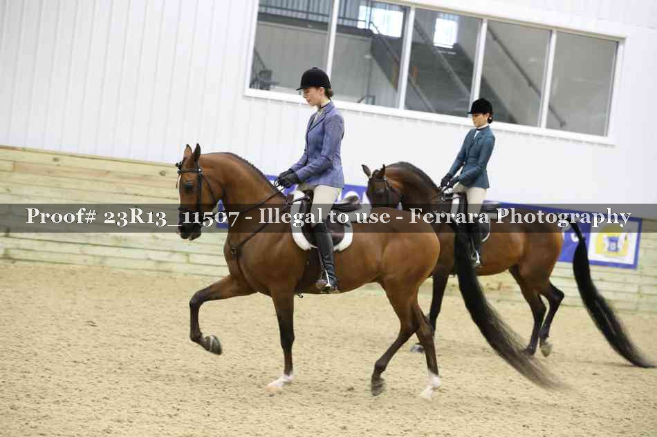 Proof Number 23R13_11507