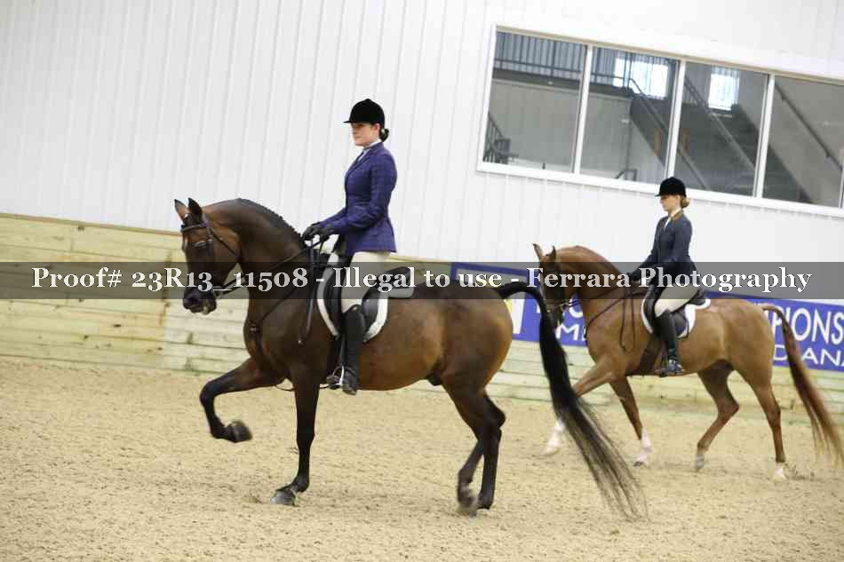 Proof Number 23R13_11508
