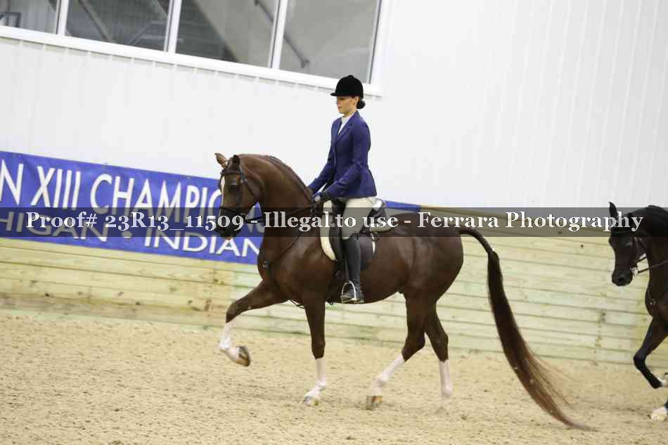 Proof Number 23R13_11509
