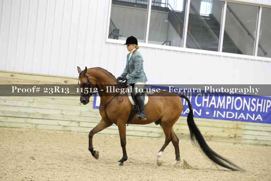 Proof Number 23R13_11512