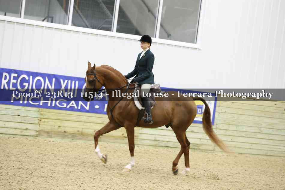 Proof Number 23R13_11514