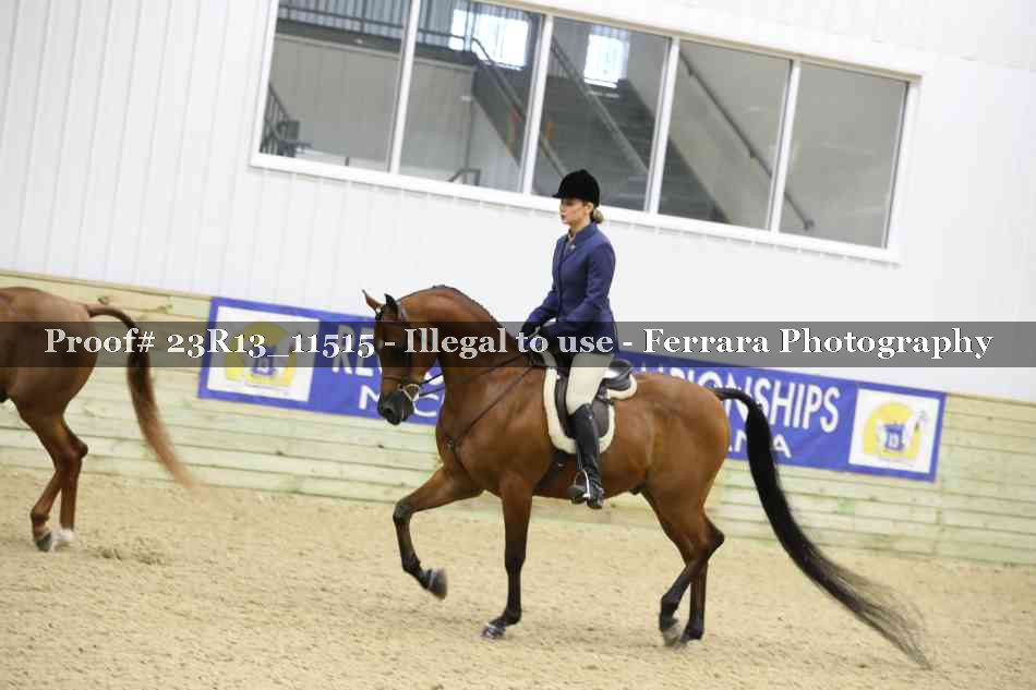 Proof Number 23R13_11515
