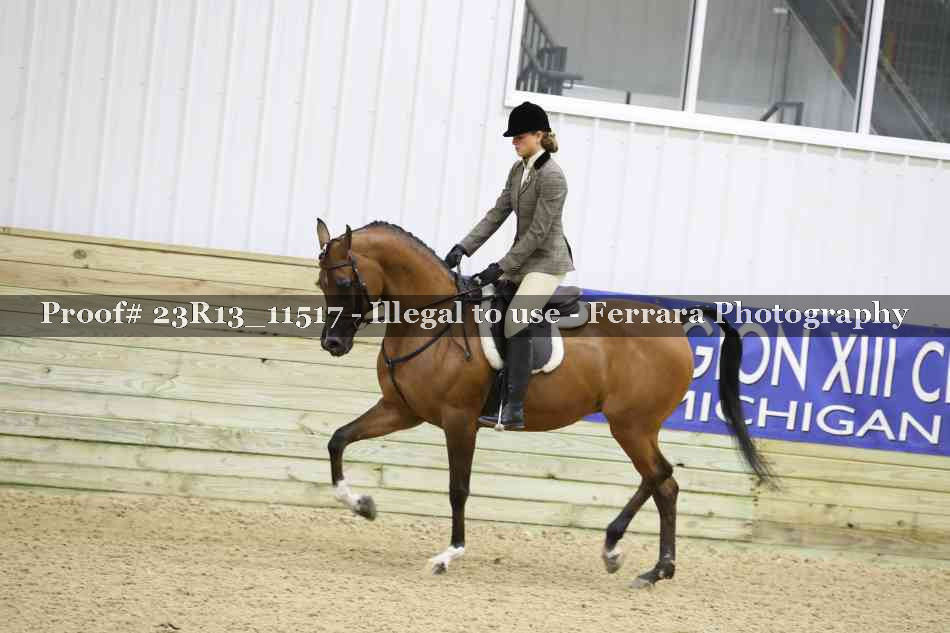 Proof Number 23R13_11517