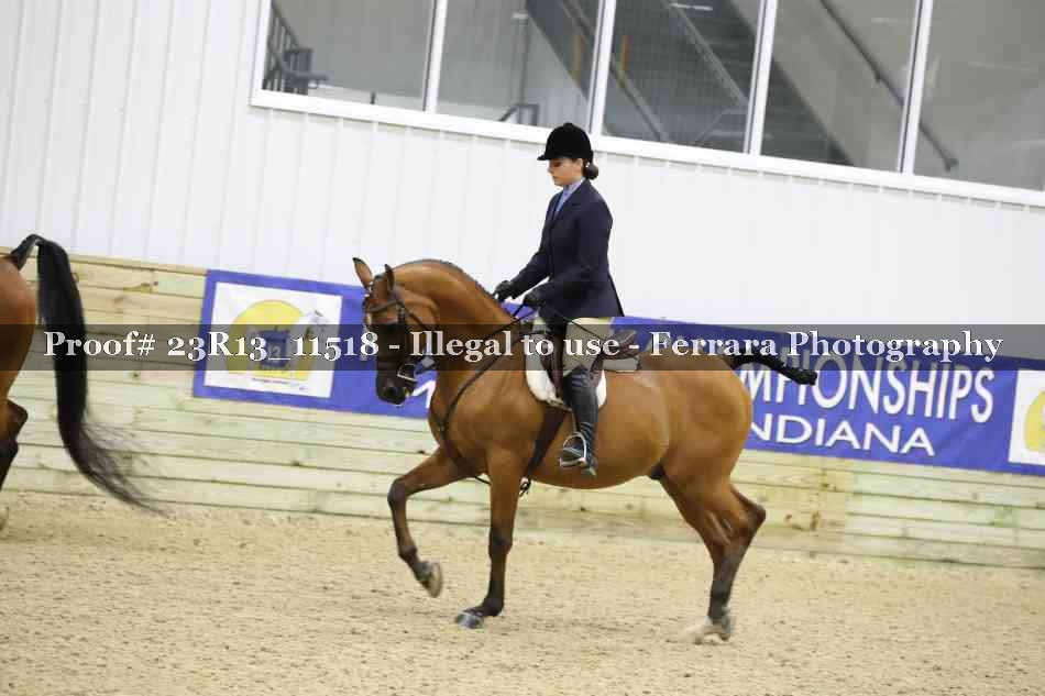 Proof Number 23R13_11518