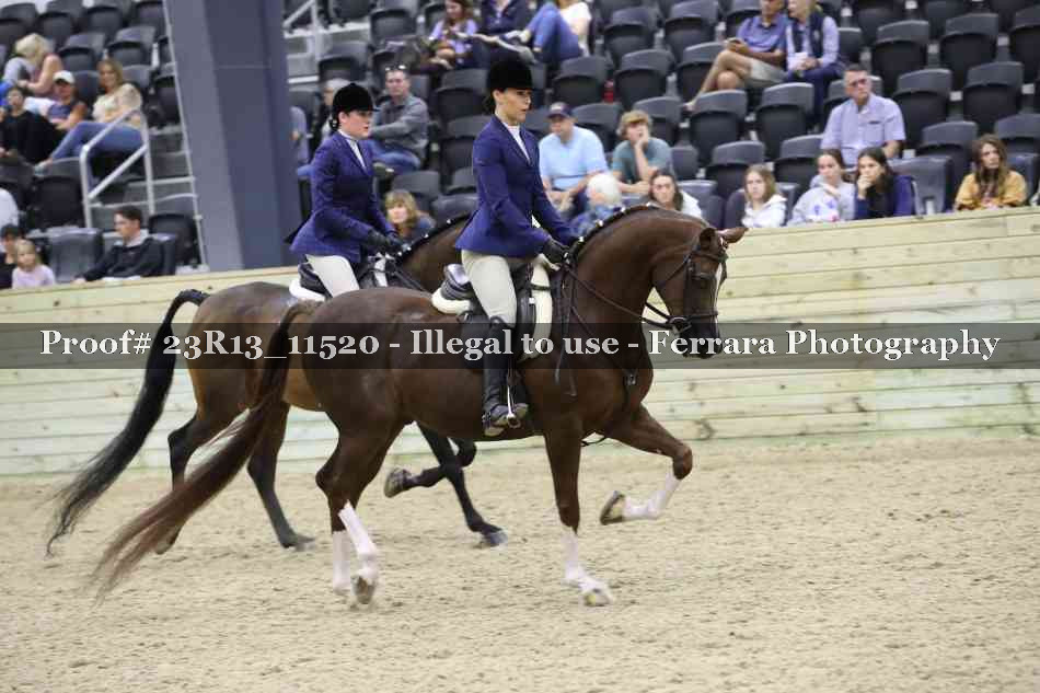 Proof Number 23R13_11520