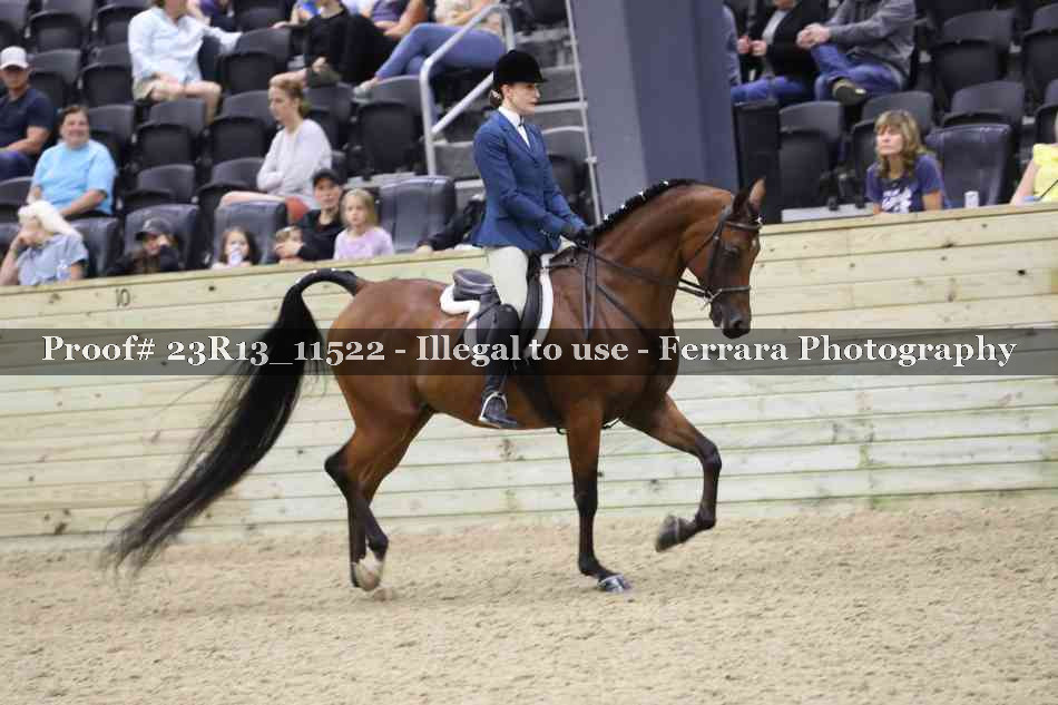 Proof Number 23R13_11522