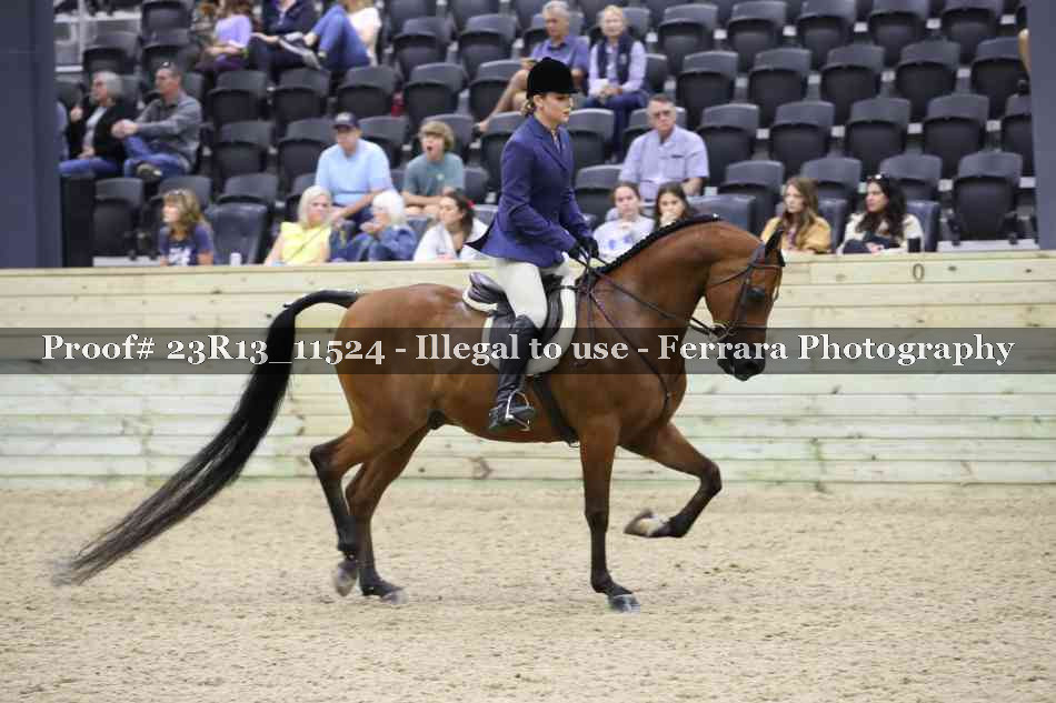 Proof Number 23R13_11524