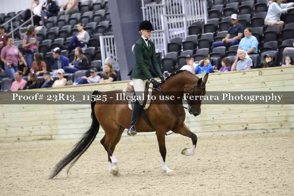 Proof Number 23R13_11525